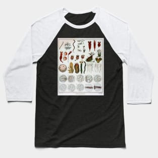 Micro Biology Life Vintage Poster Baseball T-Shirt